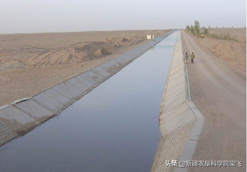 筛网离心过滤机