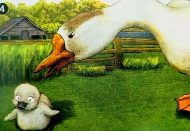 丑小鸭的绘本(丑小鸭的故事有声阅读)