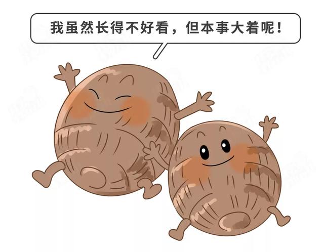 秋季给娃吃啥好？营养师发话了：4种蔬菜+1种肉，必吃