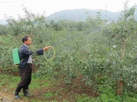 对84种害虫有特效，持效期长达20天，它被称为杀虫“小能手”2