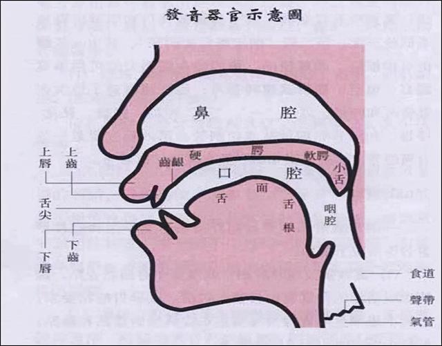 素材的素是什么意思