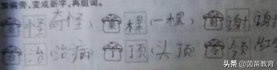 棕字组词