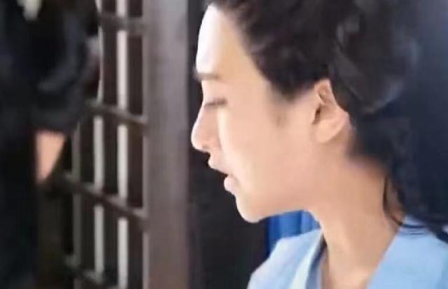 袁心冉:整容明星出演电视剧，一眼看出破绽