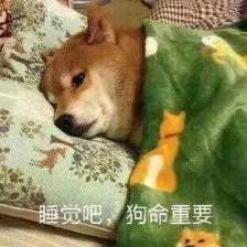 花青素汁过滤机