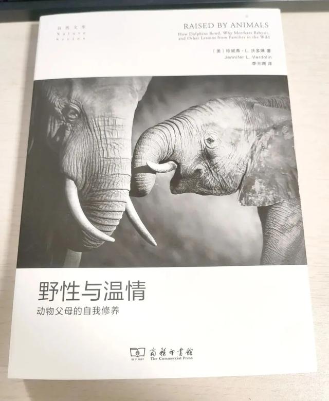 涨知识！学了这么多育儿技巧，竟然还不如他们更懂孩子