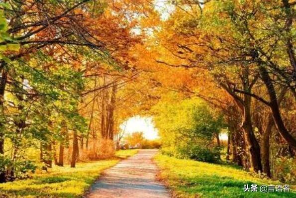 世界著名钢琴曲欣赏前十首（世界十大著名钢琴曲）