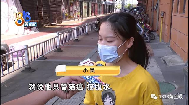 小猫查出有猫癣，对话涉及u201c零容忍u201d？ - 太阳信息网