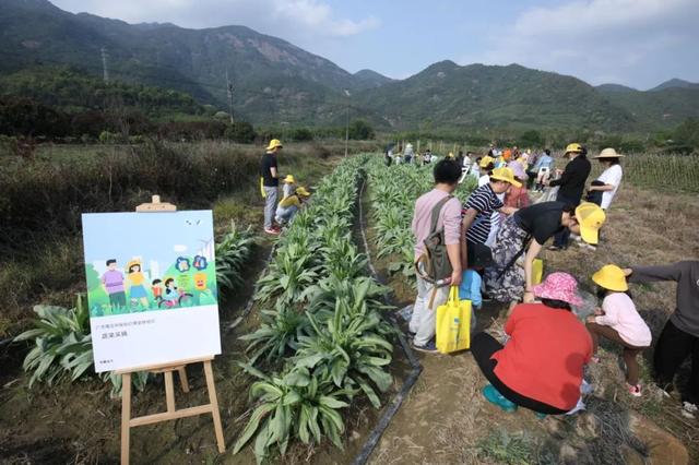 广州度假村