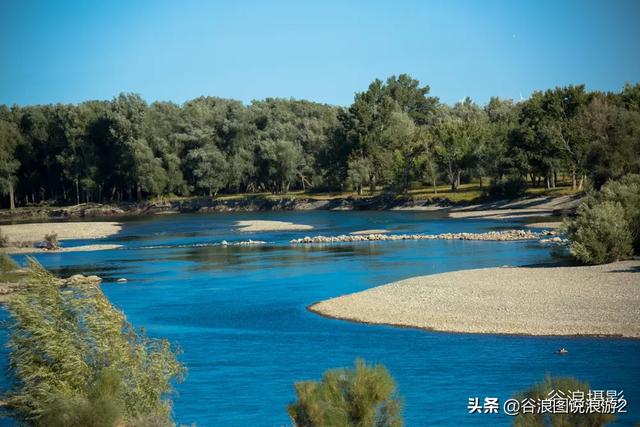 油擦 油擦（颈椎病用精油擦） 生活