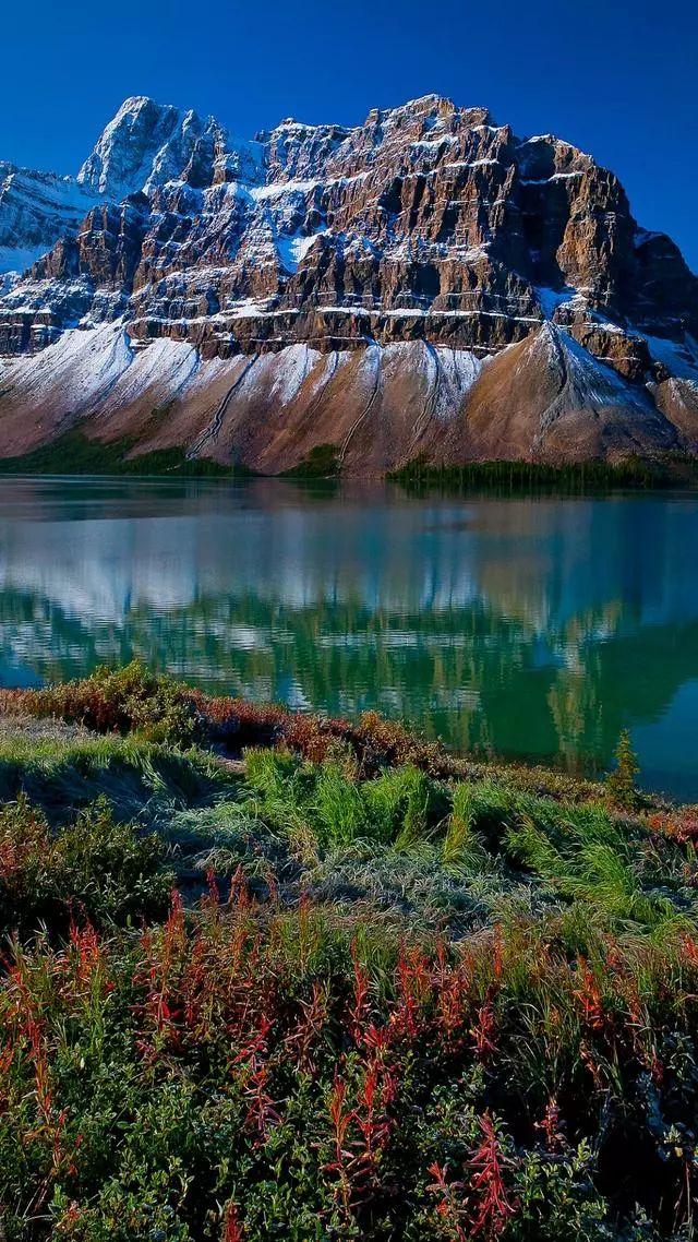 pgc-image/90bbcc924d4a4614be9e3e13e0ee34a1″  referrerpolicy="