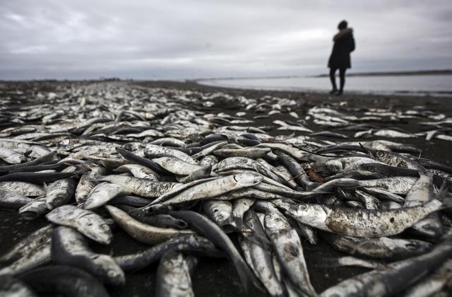 厄尔尼诺与拉尼娜现象的区别（哪个危害更大）