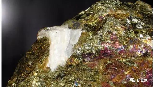 金矿尾矿处理方法