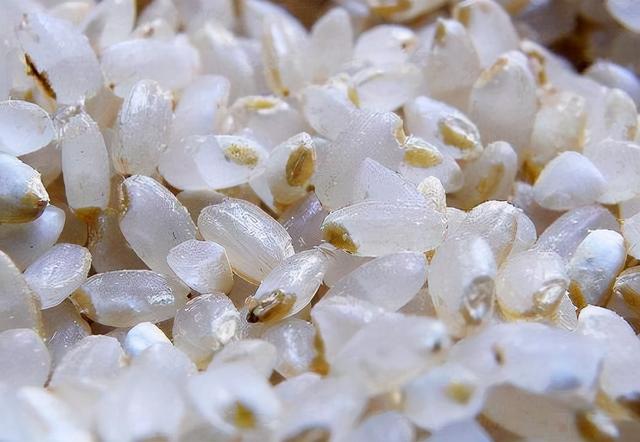 胚芽米是高营养米，那么胚芽米的好处和功效是什么？看完就知道了