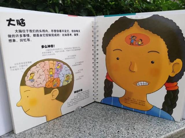 "我们的身体，翻烂了的机关书"