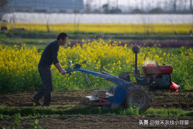 巧用生石灰，有效防治土传病害、土壤酸化、烂根死棵等难题4