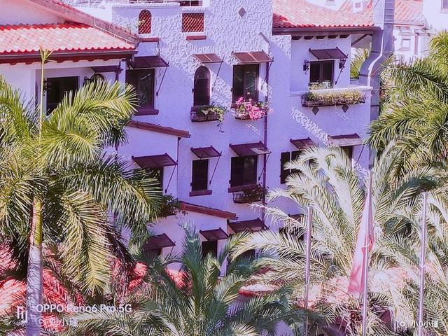 南湾猴岛好玩吗（南湾猴岛值得去吗）