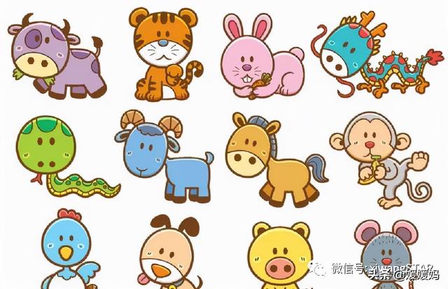 十二生肖词前面的字是什么意思