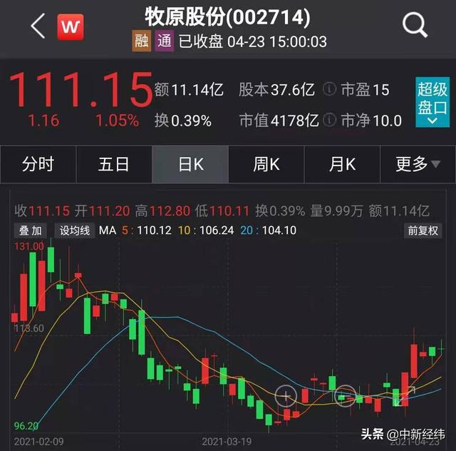 猪肉14元一斤河南养猪首富身价两个月缩水近300亿