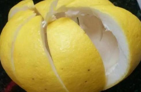 明日白露，应季“6宝”别忘吃，应季而吃，比大鱼大肉还健康