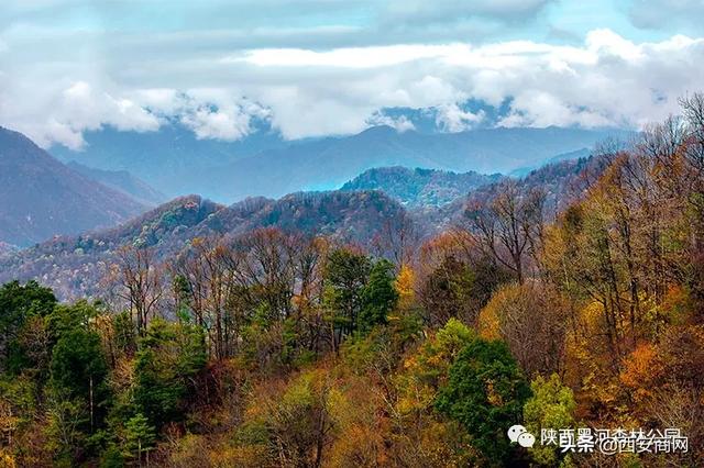 陕西黑河森林公园