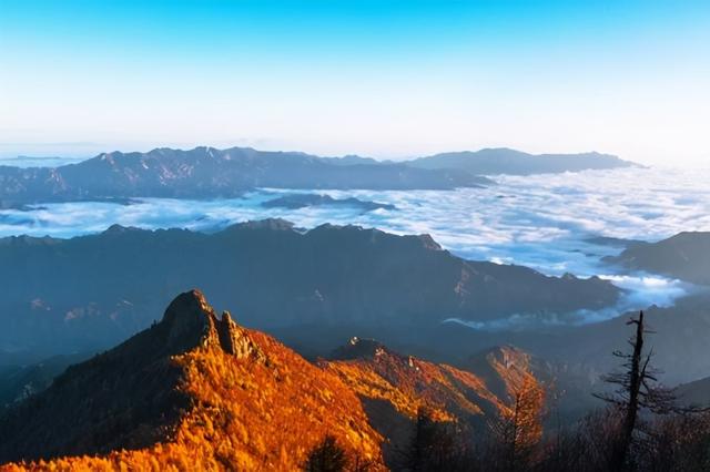 农夫山泉水源地