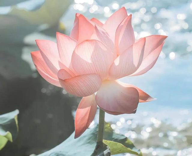 好与不好，都会过去