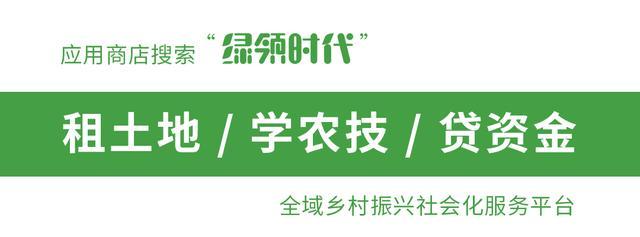 氯溴异氰尿酸为什么这么受欢迎？怎么用？要注意什么问题？