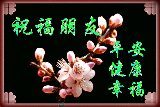 辽源压滤机生产厂家
