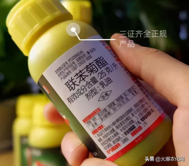 恶性蓟马“大杀器”！前打后死！虫卵兼杀！24小时死虫率高达90%11