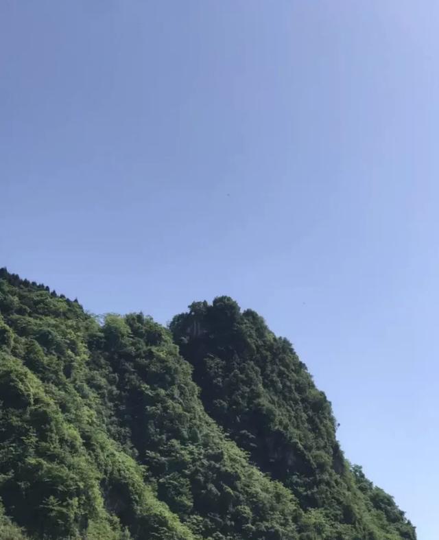 乐山石子洗砂机厂家