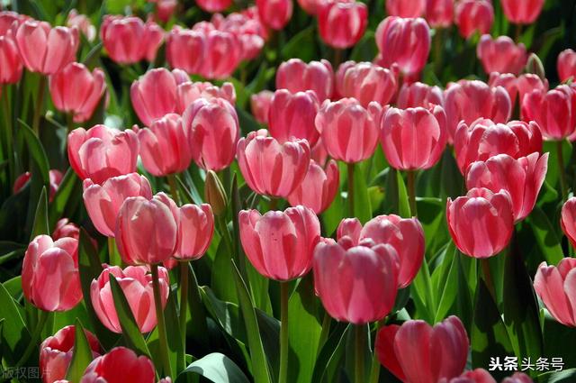 周二这三个板块或将迎来大幅上涨