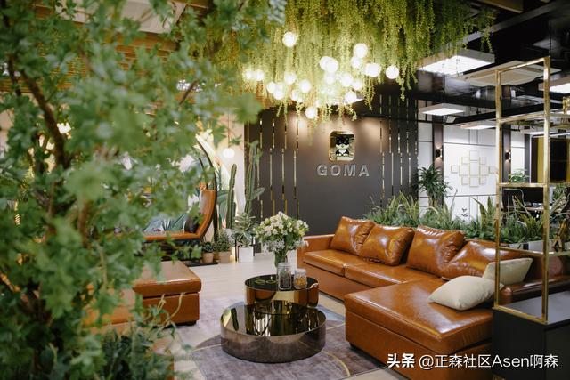 继SHIB之后，GOMA能否扛起MEME类代币的大旗