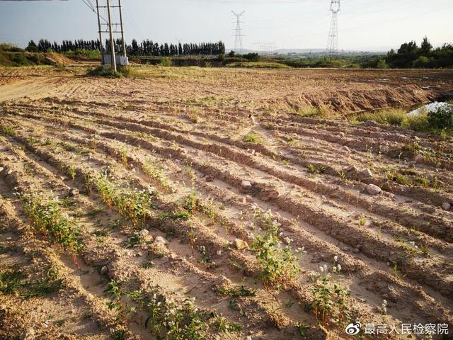 黔西县双螺旋洗砂机