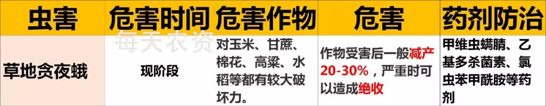 5月底6月初，是这5类虫害爆发高峰期15