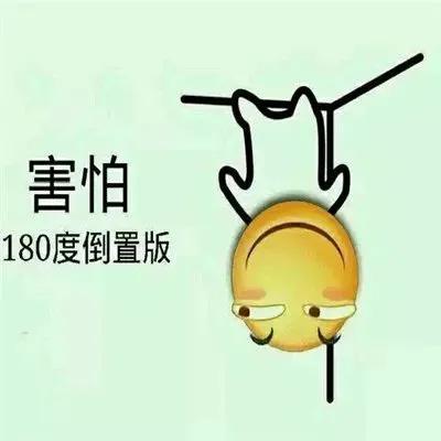 炒木耳 哪里的木耳最好