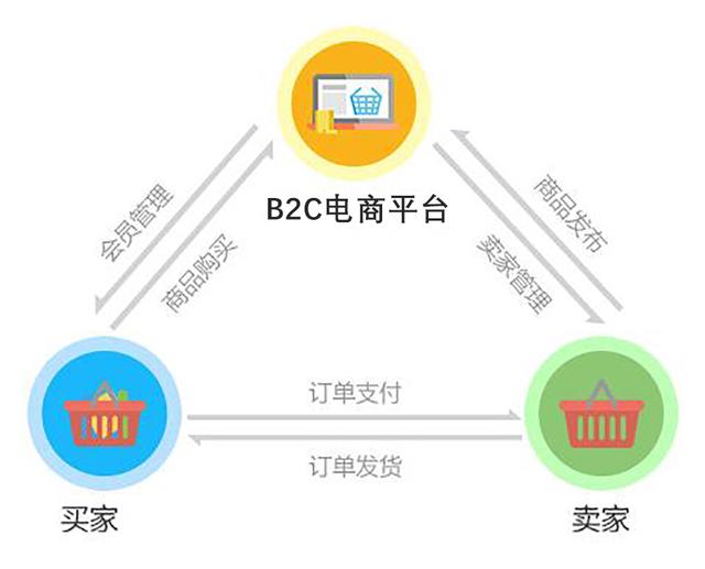 电商平台常见的四大运营模式（电商运营有几种模式）