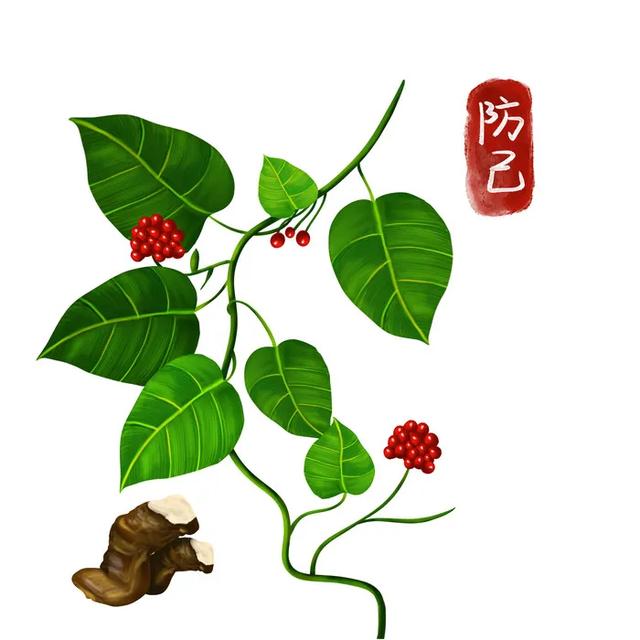 关节疼痛要分清病因，一个中成药通治风湿痛