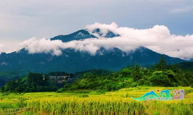 罗浮山在哪