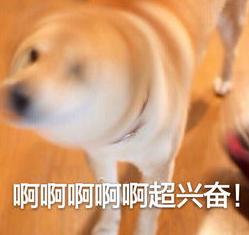 盛展建筑安装工程公司