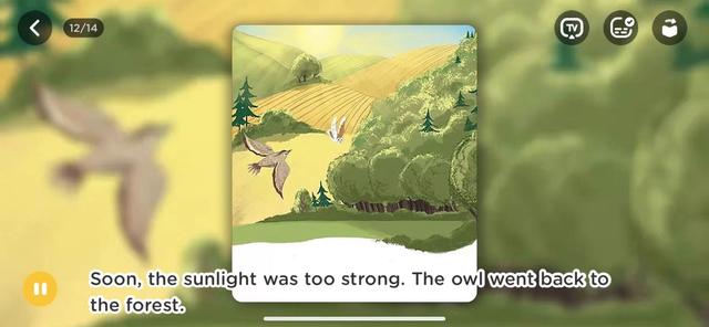 跟孩子一起读绘本：《The  Lark  and  Owl》