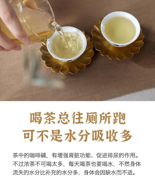 喝茶对肾功能有什么影响？