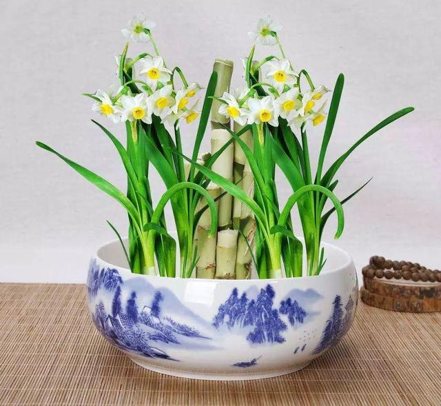 国花是什么花