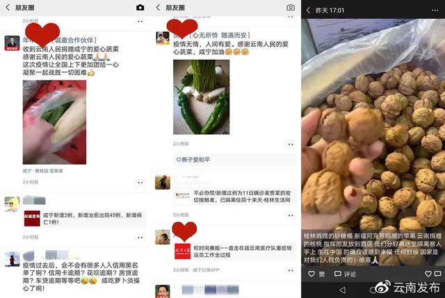 咸宁酒店工程展康乃馨展厅
