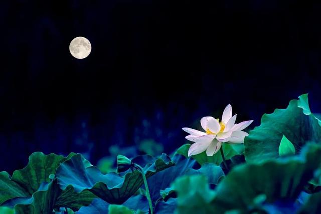 家教与门风，决定孩子的一生