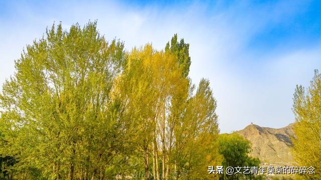 张掖过滤机