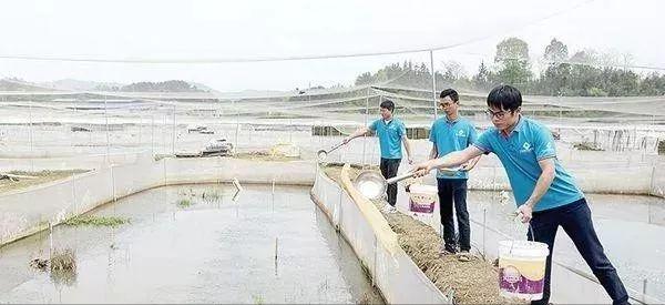 湖南农村养什么能致富(湖南农村养殖什么好)