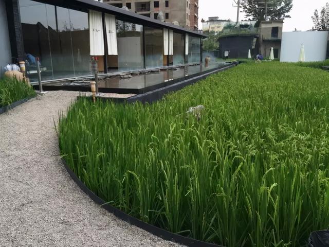楚雄河石制砂机厂