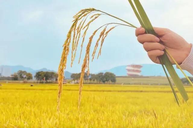 深圳机械展可以带小孩