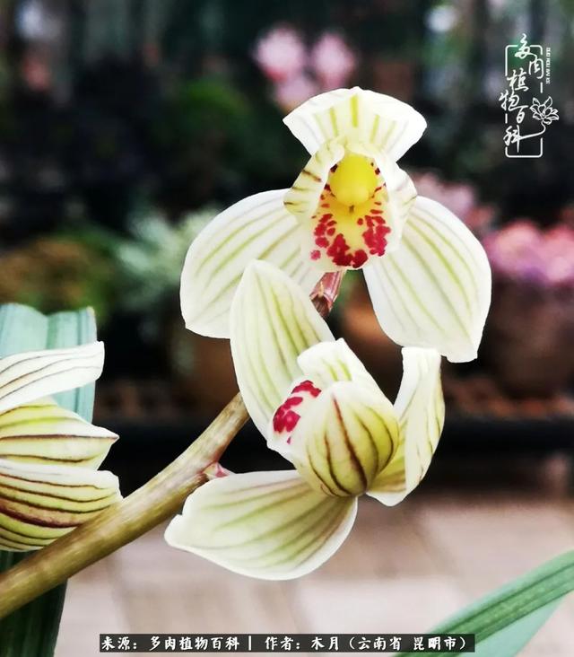 安康石英砂洗砂机厂家电话