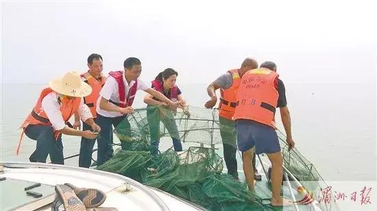 鲤城区大型洗砂机哪家实惠